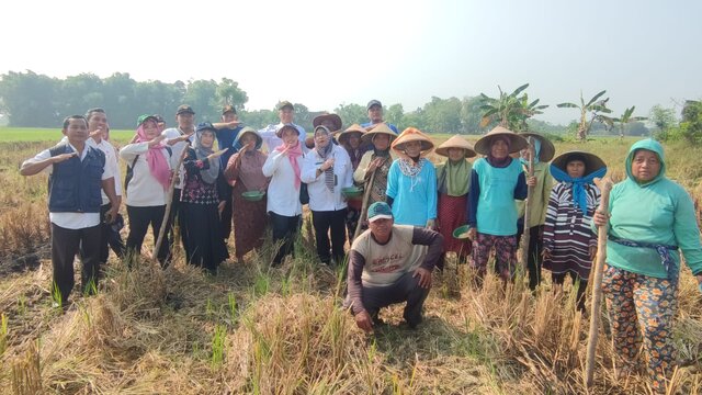 Korporasi Kedelai dan Gerakan Tutup Tanam Kedelai Kabupaten Pati