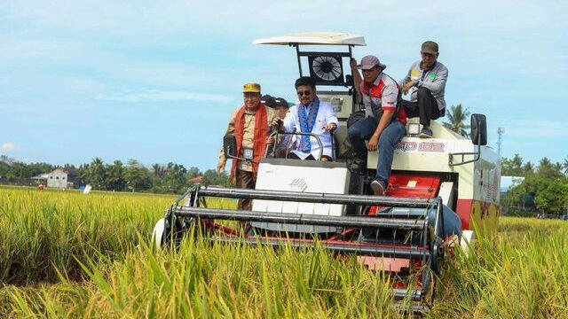 Pastikan Beras Aman, Mentan SYL Panen Padi dan Demonstrasikan Biosaka di Maros