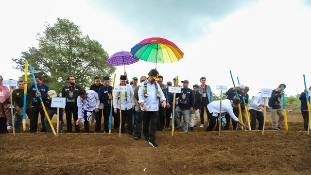 Antisipasi Krisis Pangan, Mentan SYL Dorong Pengembangan Budidaya Sorgum di Pangkep