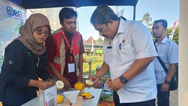 Hadapi Ancaman Pangan Global, Kementan Dorong Petani Muda Ambil Peluang