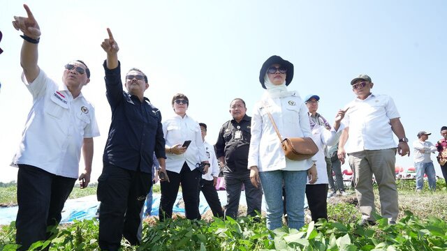 Harga Jual Naik, Petani di Demak Makin Semangat Menanam Kedelai