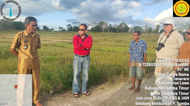 Kementan Laksanakan Join Visit Dengan FAO Dan UGM, Pantau Belalang Kembara Di Pulau Sumba