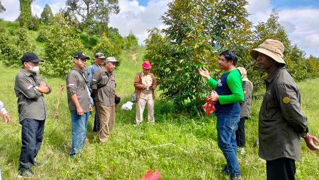 Langkah Mitigasi Dampak Perubahan Iklim, Ditjen Hortikultura Lakukan Pengukuran Stok Karbon ke Berbagai Pulau