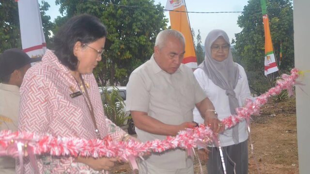 Dorong Peningkatan Produksi, Kementan Launching Benih Pisang Hasil Kultur Jaringan di Kaltim