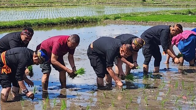 Gernas El Nino di NTB, Mentan SYL Tanam Padi dan Pimpin Pembuatan Biosaka untuk Petani