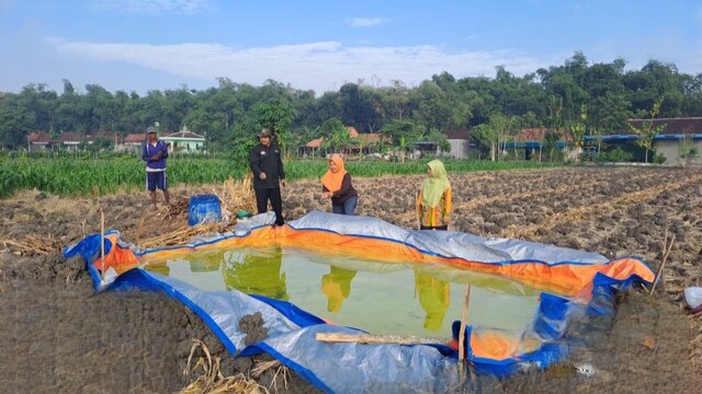 Upaya Adaptasi Petani Grobogan Menghadapi Kekeringan