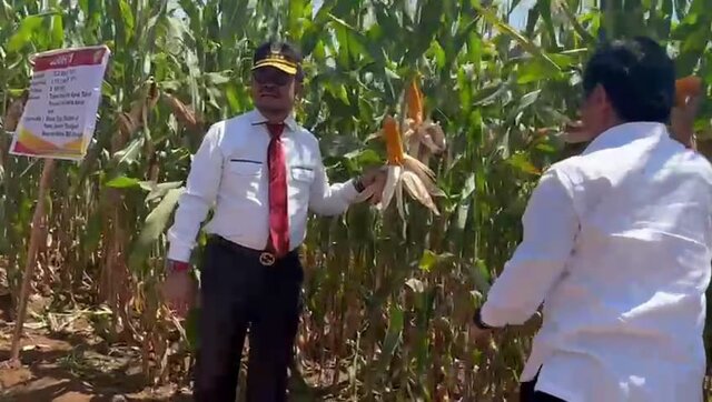 Mentan SYL Launching Jagung Jago Hasil Kolaborasi Unhas-Kementan