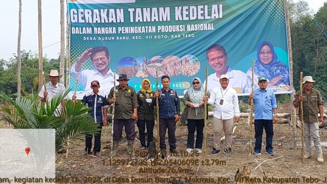 Dukung Peningkatan Produksi Nasional, Jambi Lakukan Gerakan Tanam Kedelai