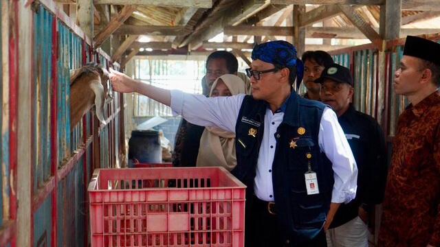 Diversifikasi Produk dan Olahan Kambing Jadi Bukti Keberhasilan P4S Lurisae Purworejo