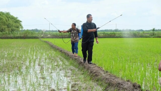 Kementan Dorong Pengembangan Pertanian Organik