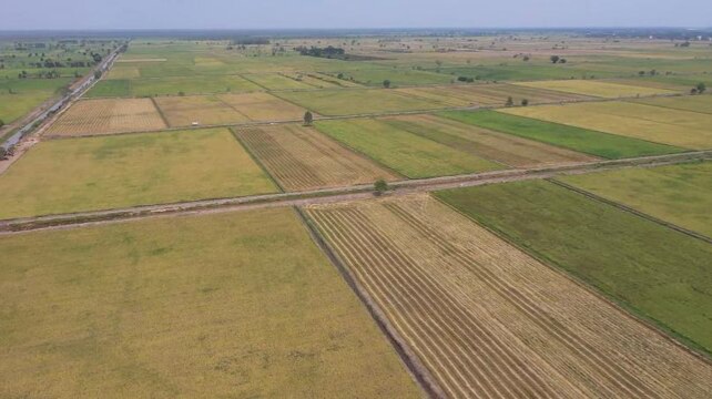 Food Estate Berjalan Baik dan Memberi Dampak Positif