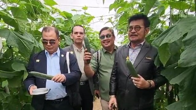 Menyulap Lahan Tandus Jadi Pemasok Sayur Terbesar Eropa