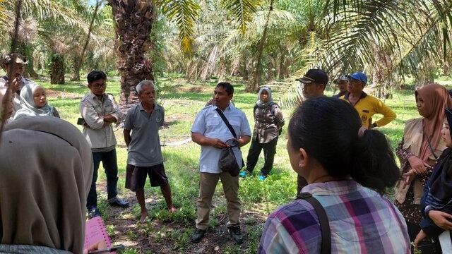 Kementan Sigap Antisipasi El Nino Demi Jaga Keberlanjutan Produksi Tanaman Perkebunan