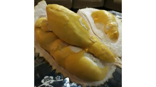 Kementan Siapkan Durian Simemang Asal Banjarnegara Jadi Salah Satu Durian Unggul Nasional