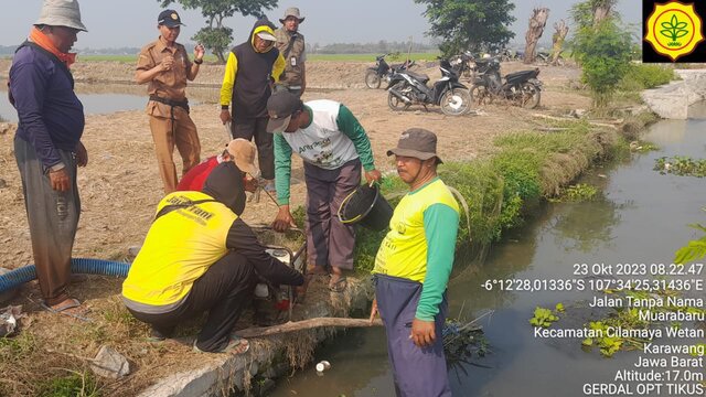 Amankan Musim Tanam 2023/2024, Kementan Lakukan Pengendalian Tikus di Karawang