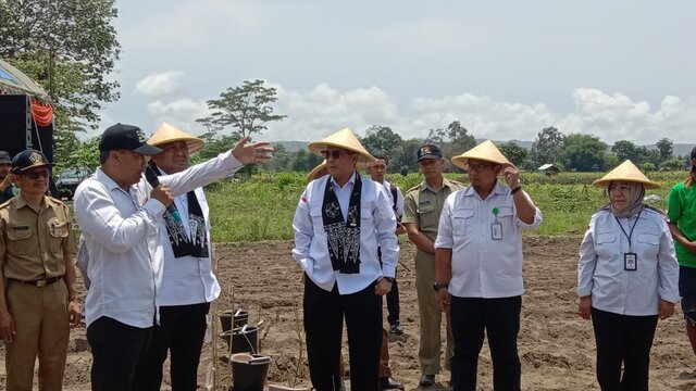 Wamentan Ungkap Langkah Konkret Genjot Produksi untuk Swasembada Gula Nasional