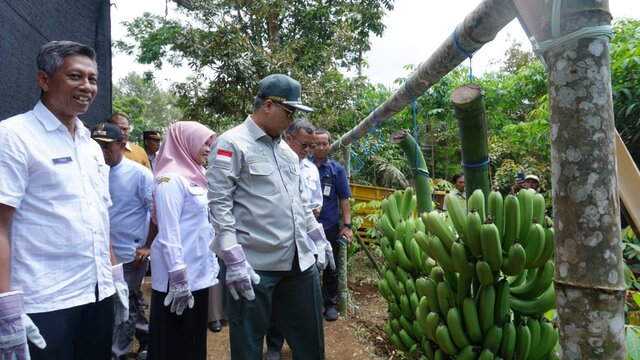 Wamentan Dorong Pisang Blitar Tembus Pasar Ekspor Lewat Korporasi Petani