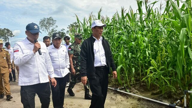 Wamenhan Berterimakasih Pada Mentan Amran Bantu Tangani Food Estate Gunung Mas