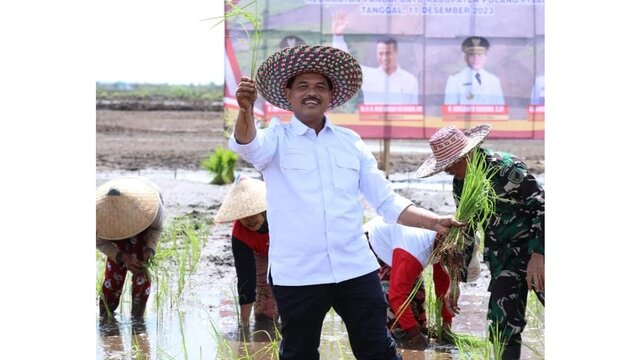 Kementan Gelar Gerakan Tanam Padi Pacu Akselerasi Food Estate di Pulpis Kalteng