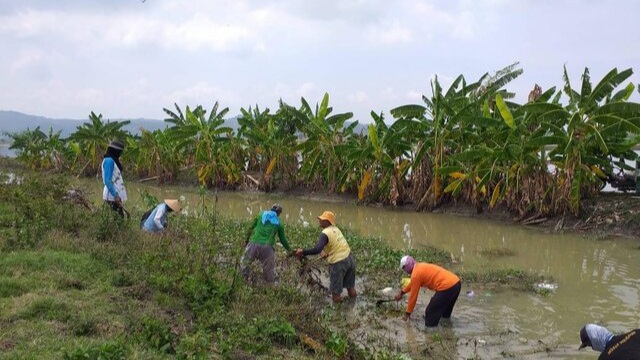 Penanganan Banjir Pada Tanaman Pangan MH 2023/2024