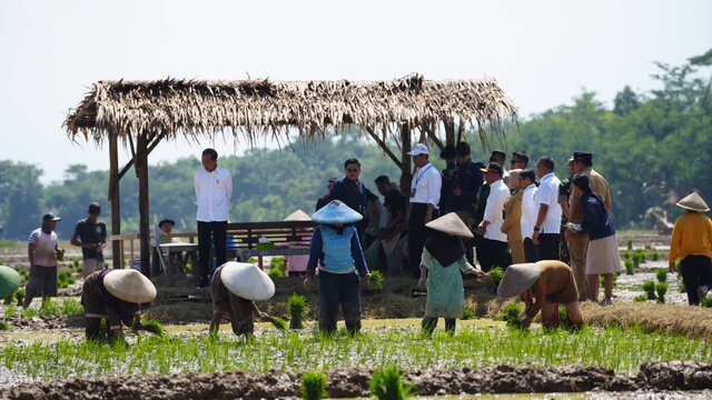 Disambangi Presiden Jokowi, Pekalongan Gencar Percepatan Tanam