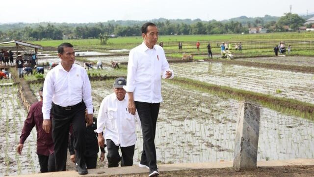 Presiden Pastikan Ketersediaan Pupuk Subsidi Aman