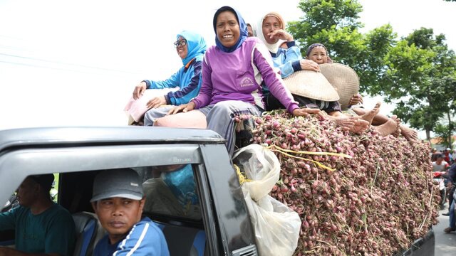 Petani Respon Pengamat Terkait Pupuk Subsidi:  Tambahan Anggaran Pupuk Sentuh Akar Masalah Kami