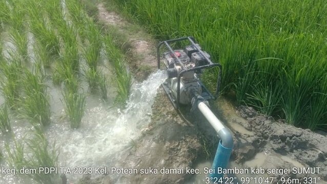 Dem DPI Bantu Petani Serdang Bedagai Tampik Cekaman Kekeringan Akibat El Nino