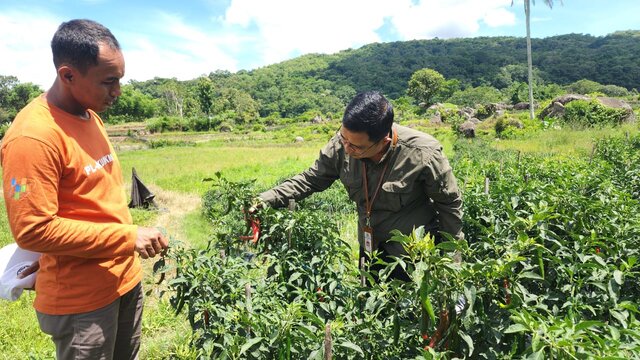 Gerak Cepat dengan Gerdal APH, Pasokan Cabai dan Bawang Merah Jelang Ramadhan Terpantau Aman