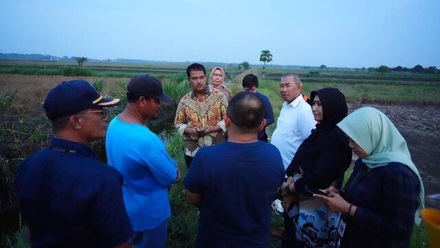 Tanam Padi di Lamongan Terkendala Air, Kementan Bantu Pompanisasi dari Bengawan Solo