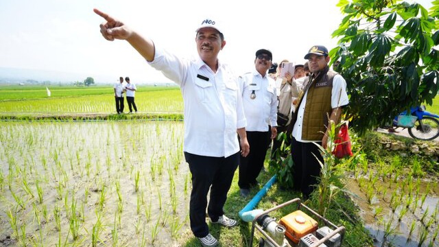 Aliran Air Jadi Kendala, Kementan Janjikan Pompa di Tuban