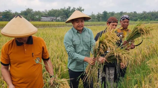 Kementan Minta Kawal Panen Raya Banten, Diperkirakan Surplus 45.963 Ton Beras