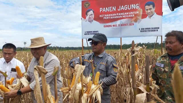 Kementan-Kemenhan Gelar Panen Raya Jagung di Kawasan Food Estate Gunung Mas