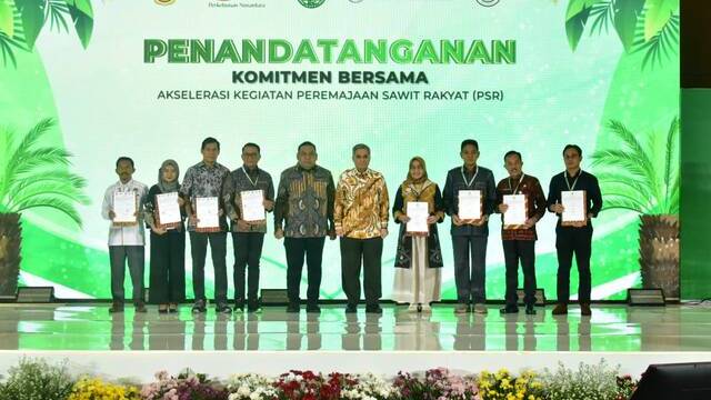 Akselerasi Program PSR, Kementan Targetkan Pertanaman Tumpang Sari Padi Gogo 500 Ribu Hektar