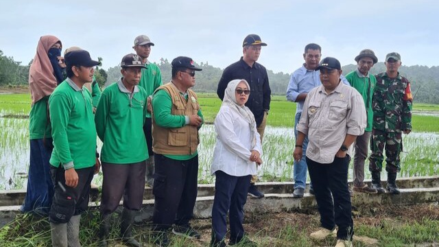 Wujudkan Ketahanan Pangan, Kementan Gencarkan Program PAT di Simeulue