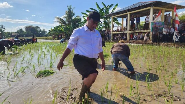 Mentan Andi Amran Sulaiman : Gowa Kunci Kesuksesan Swasembada Pangan Indonesia