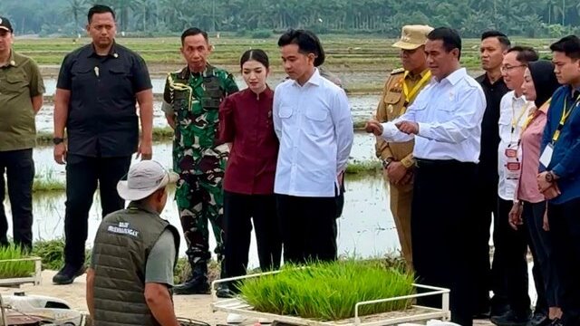 Dukung Ketahanan Pangan, Wapres Gibran Didampingi Mentan Amran Tanam Padi di Langkat