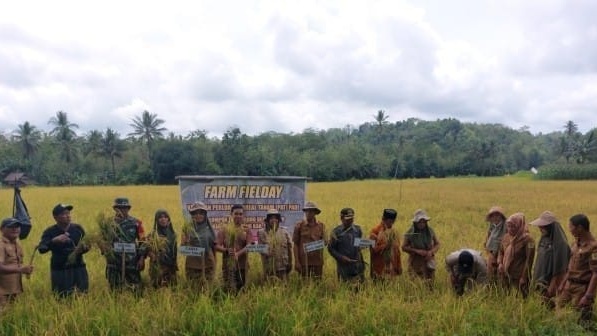 Petani Sinjai Harapkan Bulog Serap Gabah Sesuai Ketetapan HPP Pemerintah