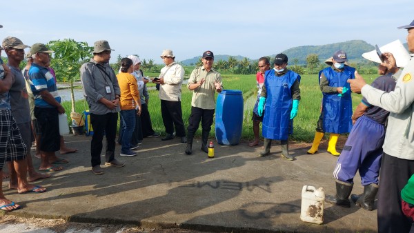 Inilah 10 Jurus Pengendalian Hama Tikus