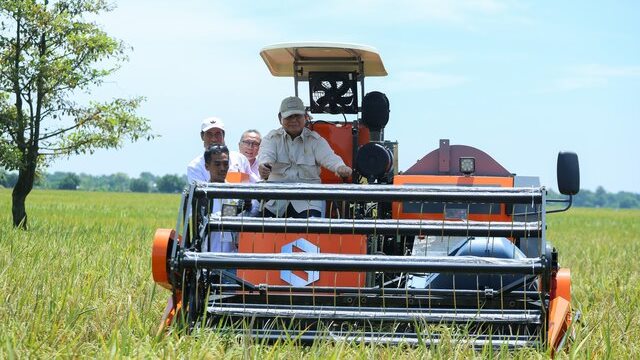 Produksi Beras Semester I/2025 Diprediksi Meningkat 11,17%, Kementan: Swasembada Semakin Dekat