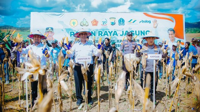 Mentan Amran: Kabar Gembira, Petani Jagung Dapat Dukungan 5 Triliun dari Presiden