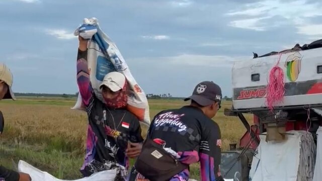 Petani Muda Jambi Raup Rp20 Juta per Bulan, Brigade Pangan Kementan Jadi Langkah Strategis Regenerasi dan Swasembada