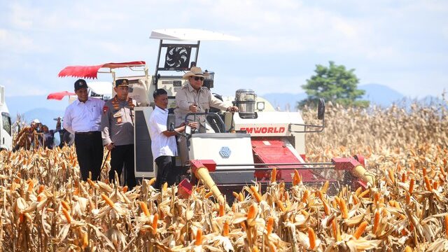 Didampingi Mentan Amran, Presiden Prabowo Pimpin Panen Raya Jagung Di Kalbar