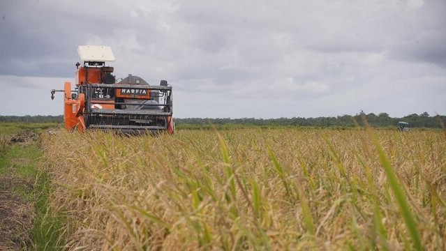RAPBN 2026: Pemerintah Gelontorkan Rp164,4 Triliun untuk Perkuat Ketahanan Pangan Nasional