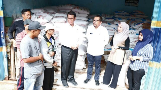 Petani Lampung: Terima Kasih, Pupuk Sudah Turun 20% Petani Lampung: Terima Kasih, Pupuk Sudah Turun 20%