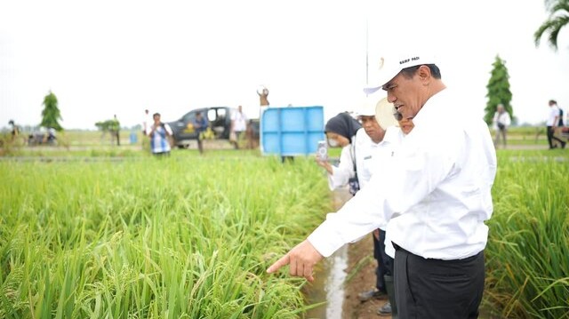 Mentan Amran Copot Pejabat Eselon II dan III karena Indisipliner, “Ini Amanah Rakyat, Tidak Boleh Disalahgunakan” Mentan Amran Copot Pejabat Eselon II dan III karena Indisipliner, “Ini Amanah Rakyat, Tidak Boleh Disalahgunakan”