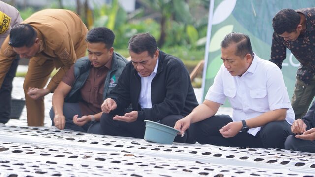 Mentan Amran dan Gubernur NTB Tanam Bawang Putih Bersama Petani Sembalun, Percepat Jalan Menuju Swasembada