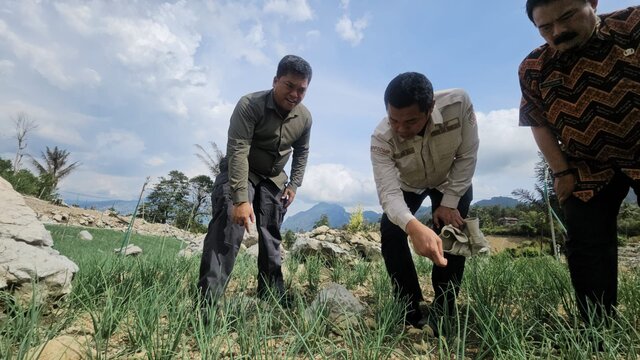 Kementan Gencarkan Pengembangan Hortikultura Lahan Kering untuk Antisipasi El Nino