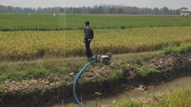 Potensi Kekeringan Menguat, Kementan Dorong Optimalisasi Pompa Air