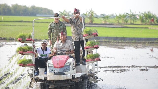 Stok Beras RI Tembus 28 Juta Ton, Wamentan Sudaryono Kebut Tanam 750 Hektar Padi di Lamongan Hadapi El Nino